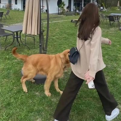 再婚进行时